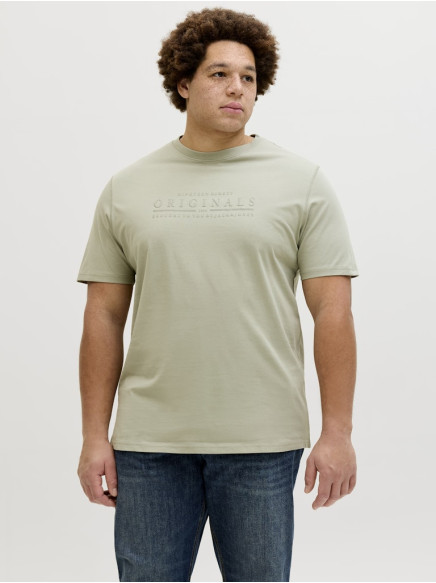 Футболка Jack and Jones 07042612JJ-047