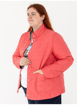 Вітровка Frandsen