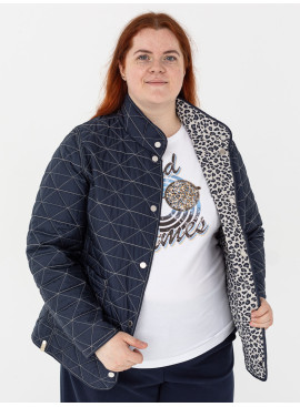 Вітровка Frandsen